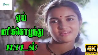 Aei Marikolunthu ஏய் மரிக்கொழுந்து  K S Chithra Uma Ramanan  Love H D Song [upl. by Reivad465]