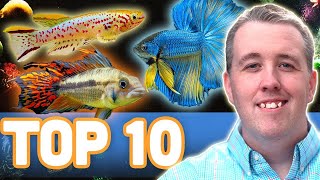 MY TOP 10 FISH FOR A 10 GALLON AQUARIUM [upl. by Summons]