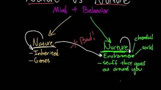 Nature vs Nurture  Part 1 [upl. by Ailecec]