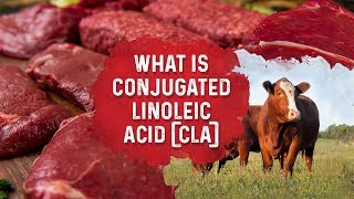 What Is Conjugated Linoleic Acid – Dr Berg [upl. by Sheline898]