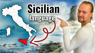 Sicilian Language vs Italian vs Spanish vs Portuguese  Can they understand it [upl. by Olegnaid]