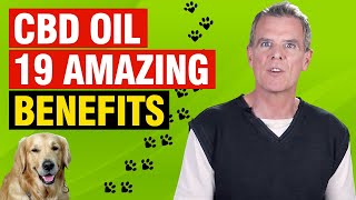 Benefits of Full Spectrum CBD Oil For Dogs 19 CONFIRMED Medical Benefits [upl. by Ambrosane744]