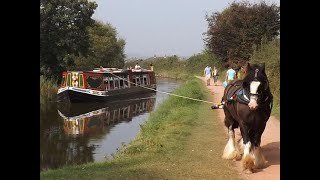 The Horse Drawn Barge Tiverton Devon [upl. by Jaco233]