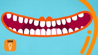 Some fun and freaky facts about teeth  BBC Ideas [upl. by Crispen]