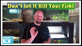 How to Lower Nitrites in an Aquarium [upl. by Arded]