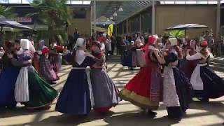 Danish Folk Dance Jyllinge Denmark [upl. by Crifasi]