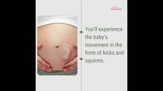 6 Month Pregnant Symptoms amp Baby Development  Six Month Pregnancy Baby Movement [upl. by Raimundo]