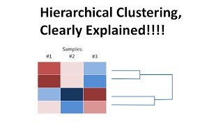 StatQuest Hierarchical Clustering [upl. by Charlot]