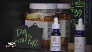 Dog owners turn to CBD oil to calm pets during fireworks [upl. by Sucramal]