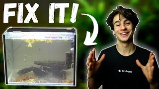 How to Fix Cloudy Water in an Aquarium Easiest Method [upl. by Aninay]