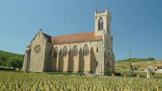 The Wines of Burgundy [upl. by Susanne]