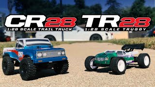 Team Associated TR28 and CR28 [upl. by Lenej70]