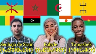 Can Tuaregs Kabyle and Sanhja Amazighs understand each other [upl. by Gal900]