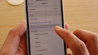 iPhone 11 Pro How to Change Ringtone Sound [upl. by Esinart]