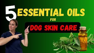 Top 5 Essential Oils For Dog Skin Health  Holistic Vet  Dr Katie Woodley [upl. by Aymer]