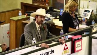 The Best Auctioneer  Rhett Parks [upl. by Gmur]