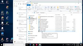 VNC Viewer setup for Windows [upl. by Chader]