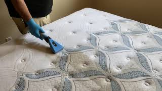 Deep Cleaning A Very Soiled Mattress [upl. by Berg]