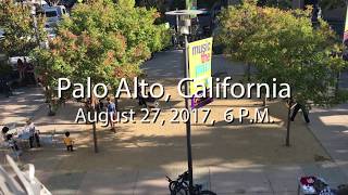 Finlandia Flash Mob  Palo Alto California [upl. by Silberman47]