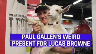 Paul Gallen’s Weird Present For Lucas Browne [upl. by Pitzer734]