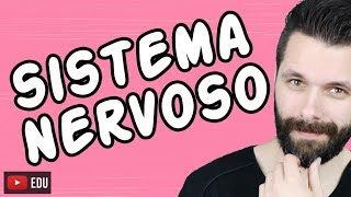 SISTEMA NERVOSO  FISIOLOGIA  Aula  Biologia com Samuel Cunha [upl. by Nennerb172]