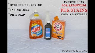 How to Remove Pee Stain and Smell from a Mattress [upl. by Kironde687]