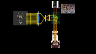 Optical Metallurgical Microscope [upl. by Eignat]