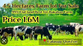 58 Farmlot For sale🥰Flat land 45 Hectares 16M lang [upl. by Anahpos]