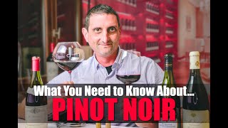 Everything You Need to Know About Pinot Noir [upl. by Eolcin775]