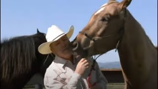 How To Teach A Horse To Open His Mouth  Stimulus Response Reward [upl. by Amees]