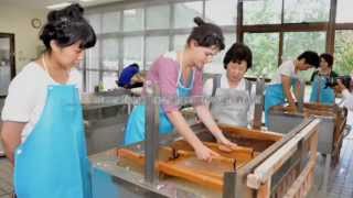 Washi craftsmanship of traditional Japanese handmade paper [upl. by Atirrehs]