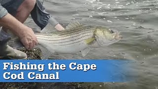 Fishing the Cape Cod Canal  S16 E4 [upl. by Rollin]