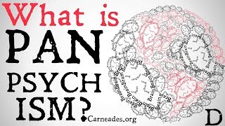 What is Panpsychism Philosophical Definitions [upl. by Cathrine]