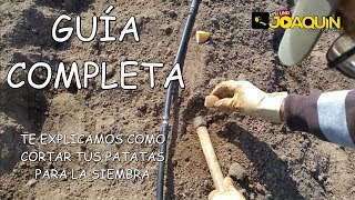 COMO SEMBRAR PATATA  Rápido y sencillo [upl. by Torie]