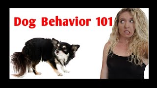 Dog Body Language COMPLETE GUIDE to Dog Stress Signals [upl. by Aikcin228]