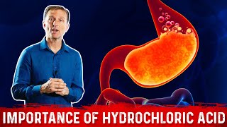 The Importance of Hydrochloric acid HCL in the Stomach – Dr Berg [upl. by Anet]