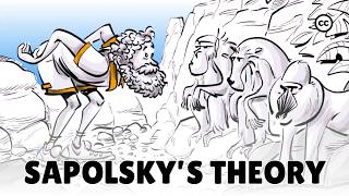 Sapolsky’s Theory of Evolutionary Psychology [upl. by Lesya237]