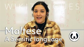 The Maltese language casually spoken  Elena speaking Maltese  Wikitongues [upl. by Tudor690]