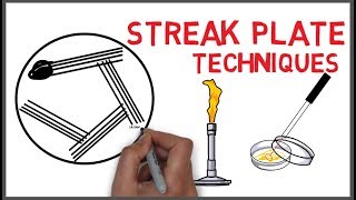 Streak Plate methods and techniques in Microbiology [upl. by Ritz]