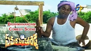 Samarasimha Reddy Telugu Movie  Brahmanandam Comedy Scene  Balakrishna  Simran  ETV Cinema [upl. by Ajax]