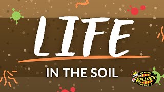 Life in the Soil [upl. by Eedoj]