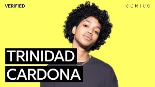 Trinidad Cardona “Dinero” Official Lyrics amp Meaning  Verified [upl. by Marianna]