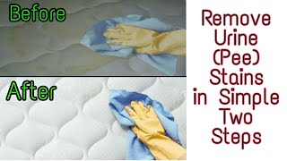 How to Remove Urine Stains from Mattress [upl. by Arhaz753]