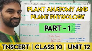 TNSCERT  Class 10  Unit 12  Plant Anatomy and Plant Physiology  Part 1 [upl. by Gine]