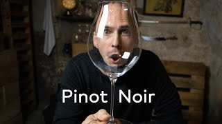 PINOT NOIR  WINE IN 10 [upl. by Ibbetson469]