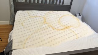 How to Clean Pee Off a Memory Foam Mattress [upl. by Adnoek195]