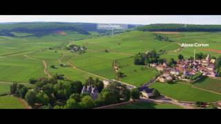 The vineyard of Bourgogne seen from the sky [upl. by Eidissac]