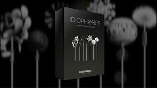 Idiophones  Overview [upl. by Chapin]