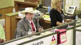 2013 LMAC Auctioneer Championship  Winners [upl. by Odlonyer]