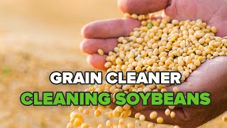 Grain Cleaner quotMetra Groupquot cleaning soybeans [upl. by Doolittle365]